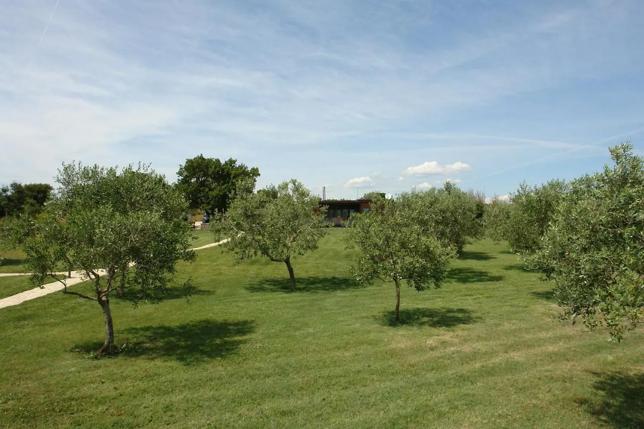 Casa vacanze Beach House Beta With Pool, Jacuzzi, Playground & Bbq In An Olive Grove With A Beach, Pomer - Istria Pola