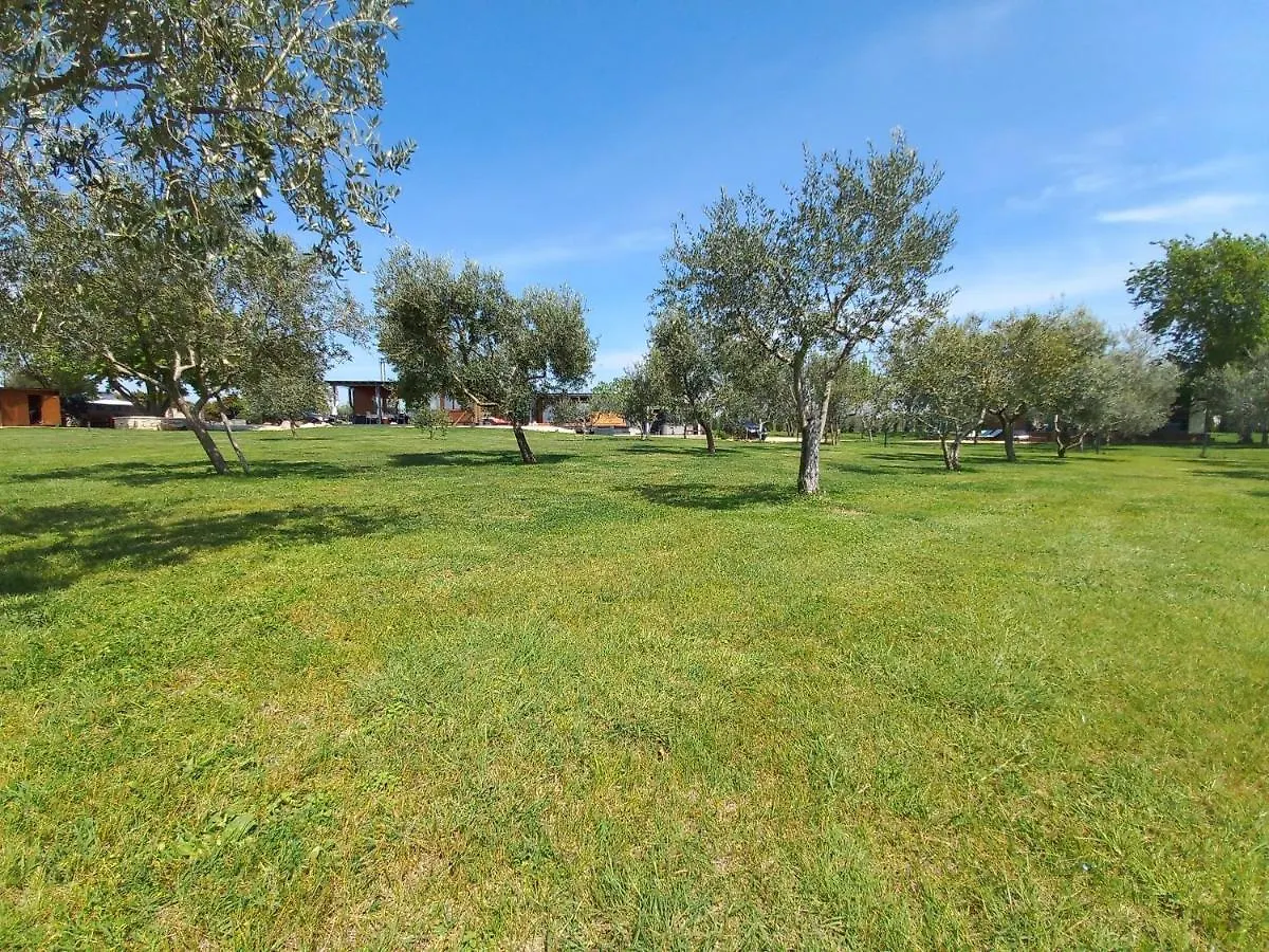 Beach House Beta With Pool, Jacuzzi, Playground & Bbq In An Olive Grove With A Beach, Pomer - Istria Pola
