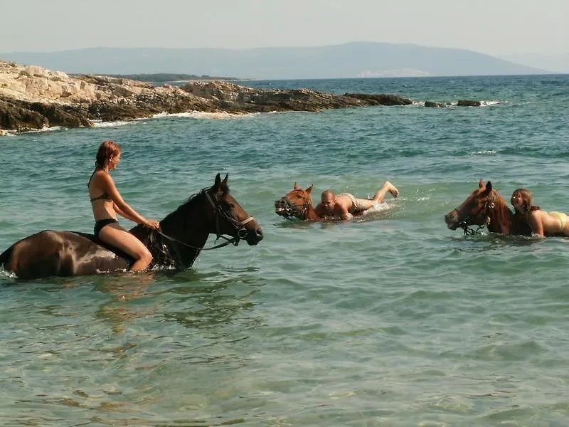Casa vacanze Beach House Beta With Pool, Jacuzzi, Playground & Bbq In An Olive Grove With A Beach, Pomer - Istria Pola