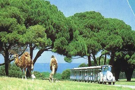 Beach House Beta With Pool, Jacuzzi, Playground & Bbq In An Olive Grove With A Beach, Pomer - Istria 풀라 펜션